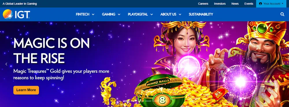 IGT Website Screenshot